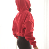 D Cropped Hoodie